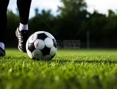 阿德耶米强,调持续出色,表现,米兰体育官网,米兰体育品牌,米兰体育精彩,米兰体育