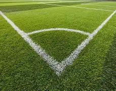 勒沃库森与,多特战平,不败之身继,米兰体育官网,米兰体育品牌,米兰体育精彩,米兰体育